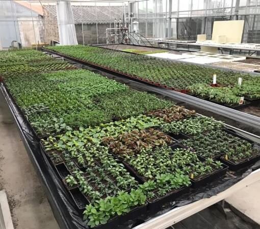 Les Artisans du Potager (1)